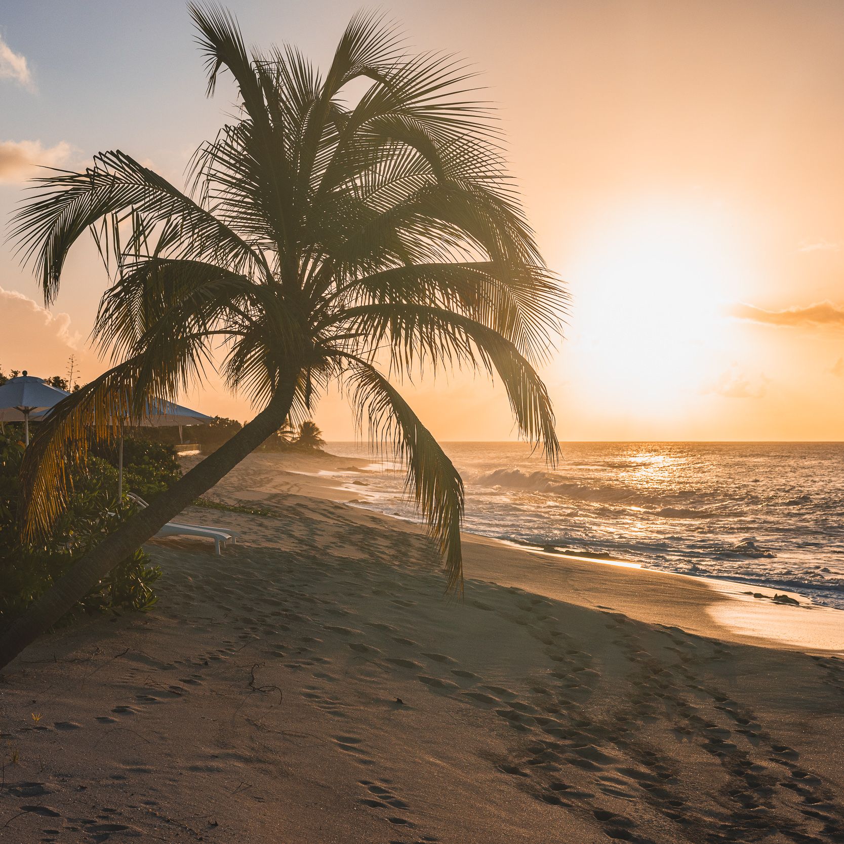 Visiter Saint Martin : au coeur des petites Antilles 1 visiter saint martin antilles que faire