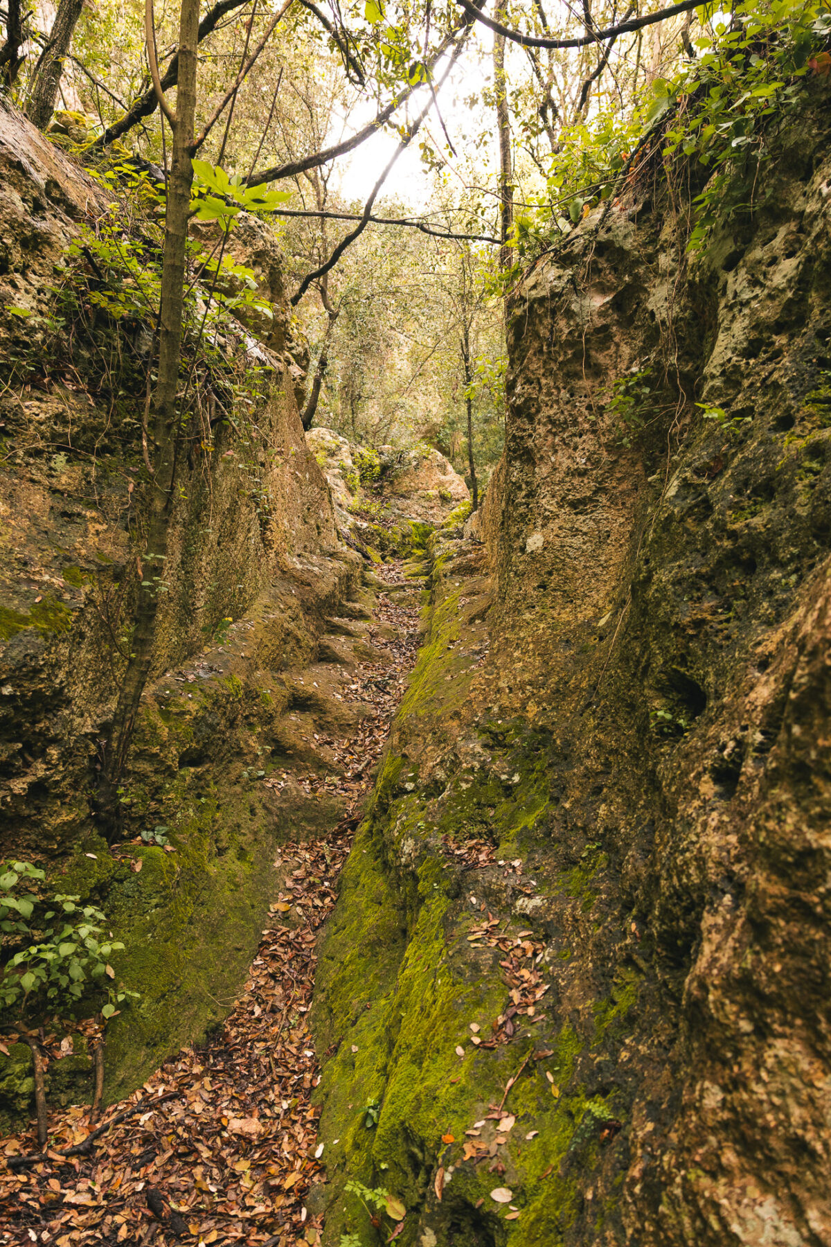 canyon minorque
