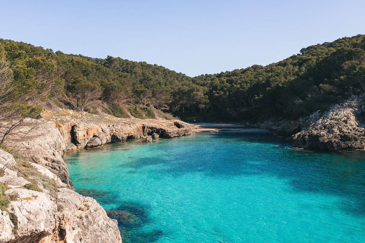 Cala fustam